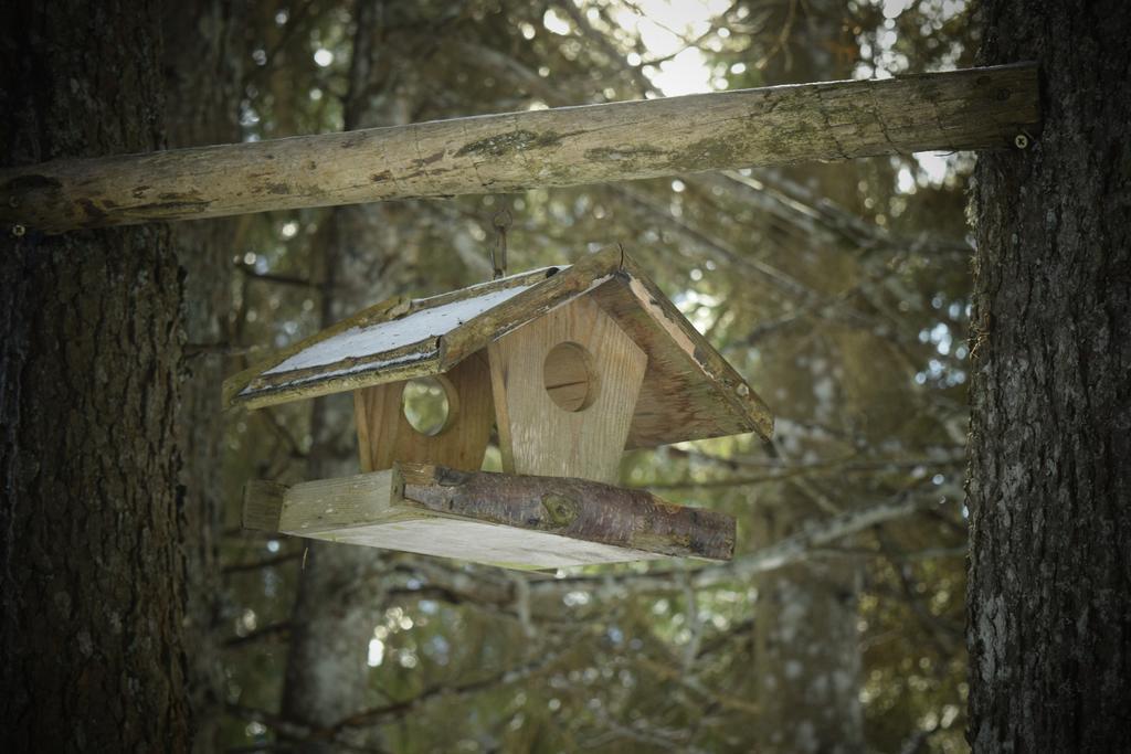 Chalet Pokljuka Goreljek Dış mekan fotoğraf
